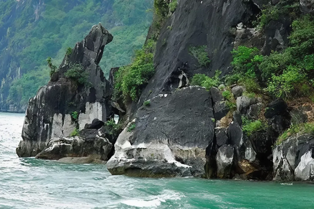 Rocky Dog Islet