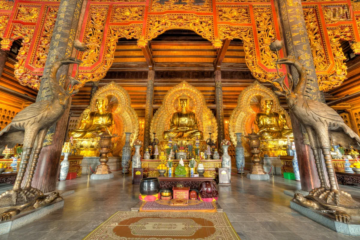 Tam The Temple