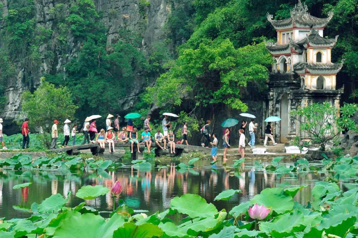 Tam Coc Private Tour | Hoa Lu Ancient Capital | Cycling to Bich Dong Bich Dong cave pagoda entrance with lotus pond