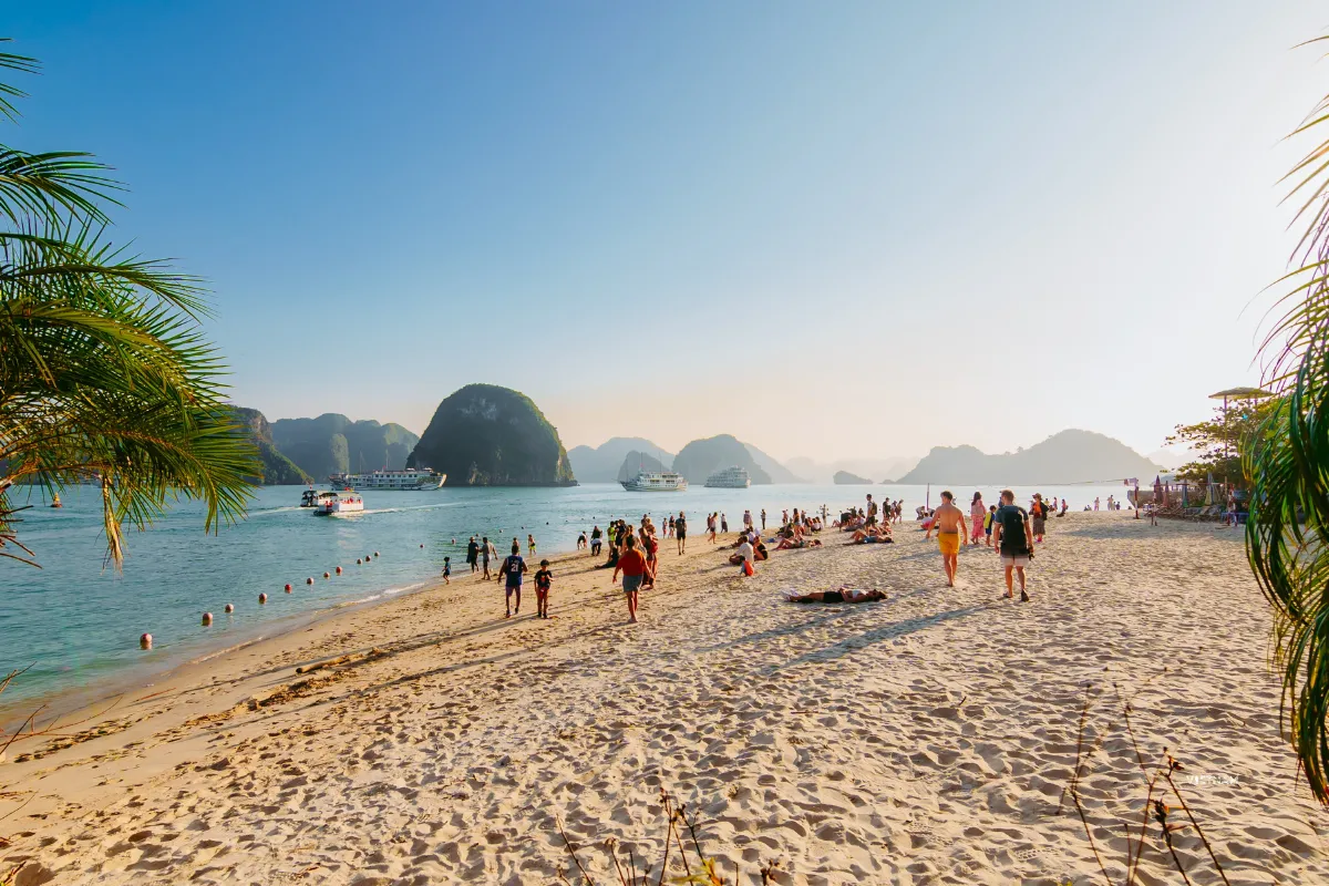 Halong Bay 1 Day Cruise | Perfect Tour to Explore Vietnam’s Iconic Bay Halong Bay 1 day cruise tour relaxing at Ti Top Beach