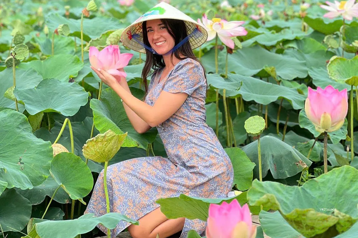 Hang Mua lotus season with blooming lotus flowers