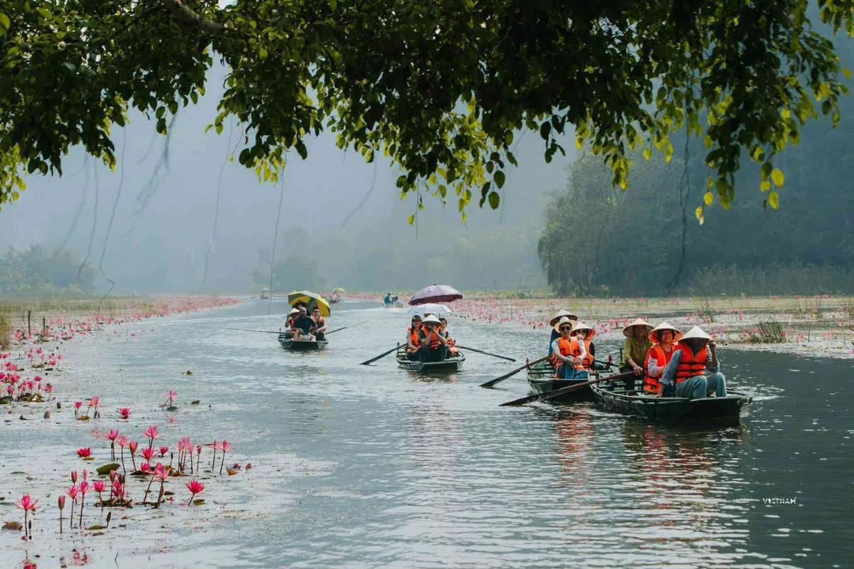 Best Tam Coc Day Tour | Explore Hoa Lu Citadel | Bich Dong Cave Pagoda Tam Coc day trip with water-lilies view over Ngo Dong River