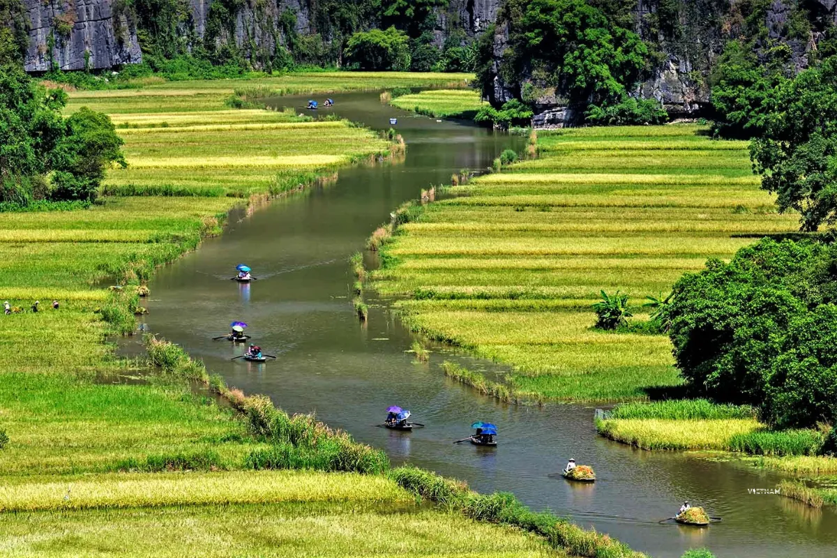 Best Tam Coc Day Tour | Explore Hoa Lu Citadel | Bich Dong Cave Pagoda Tam Coc boat tour entering cave along Ngo Dong River