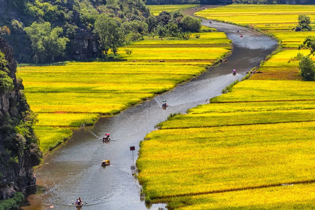 Tam Coc Rice Fields