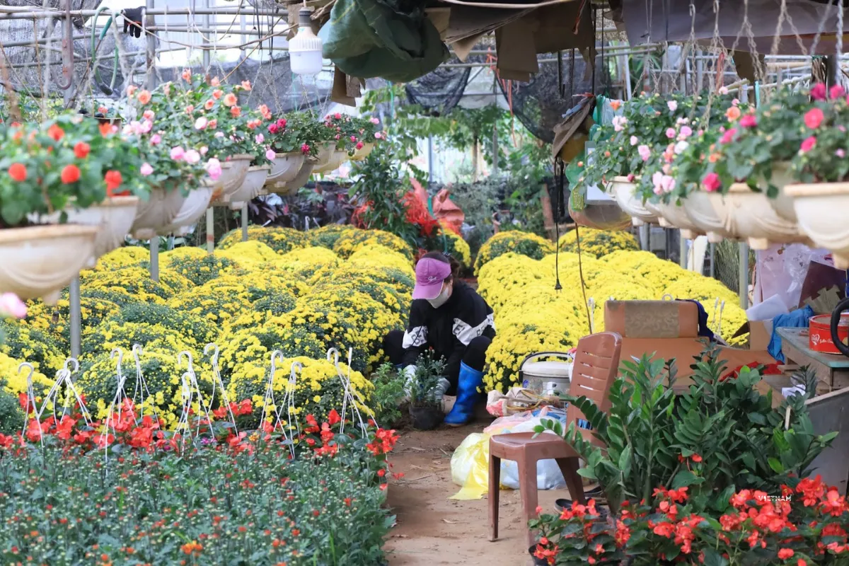 Flower Village's Market