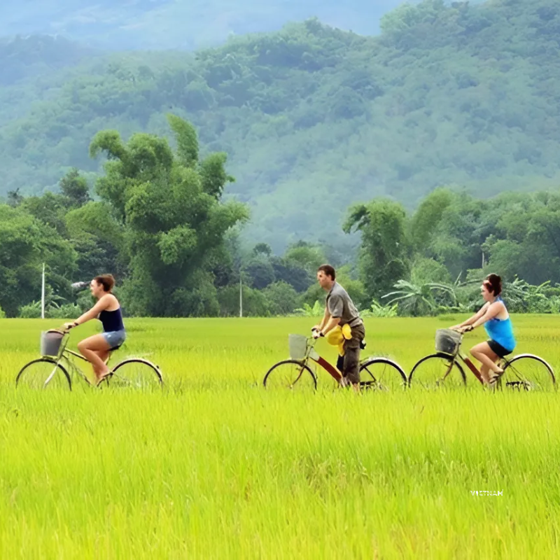 Cycling Tours