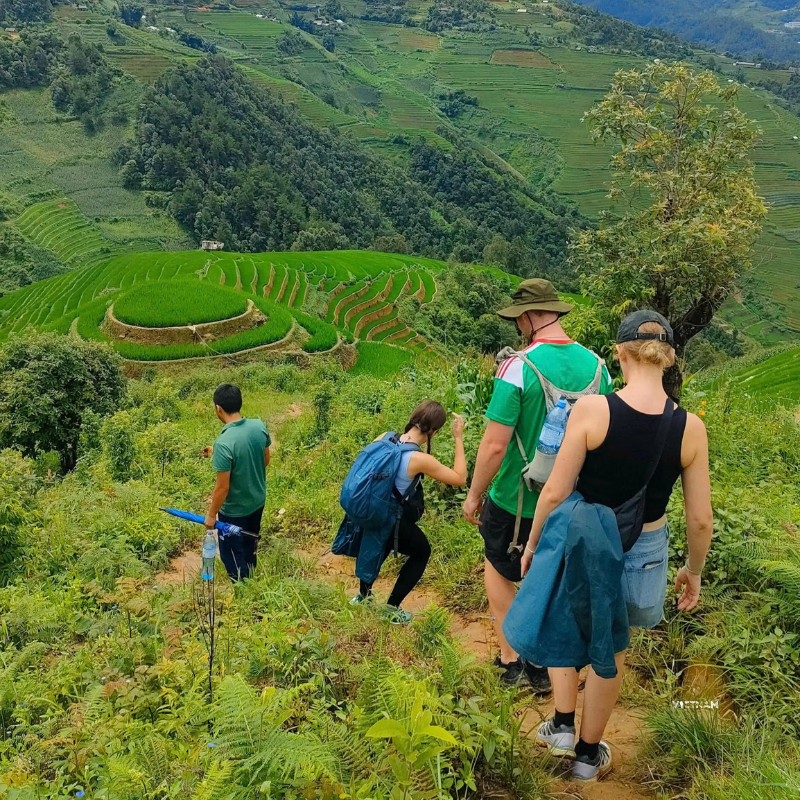 Trekking Tours