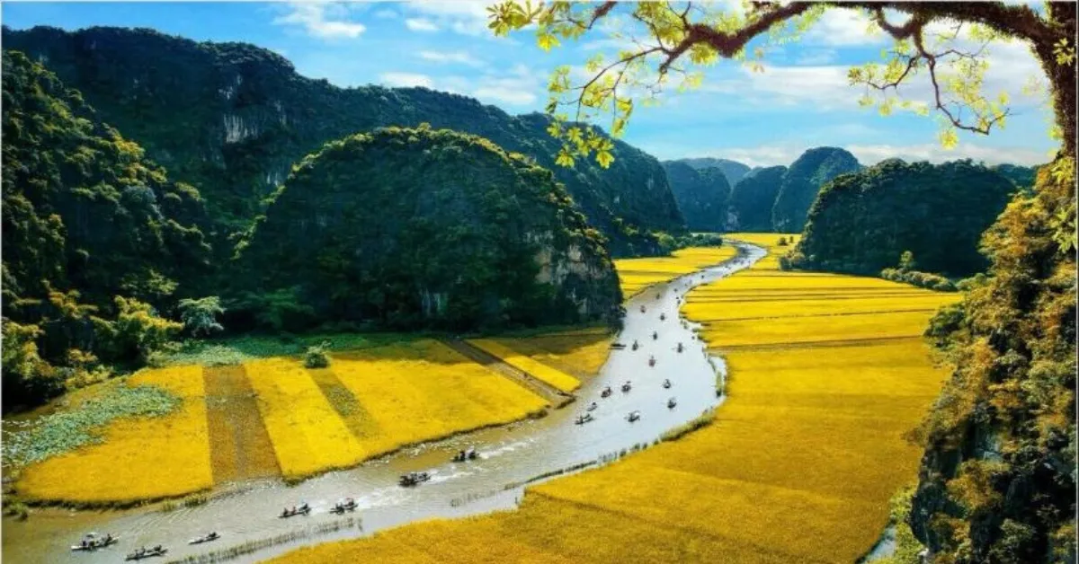 Vietnam Travel Guide highlighting Northern Vietnam destinations