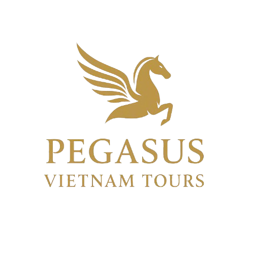Pegasus Vietnam Tours